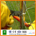 ISO9001 Galvanizado y PVC recubierto Chain Link Fence